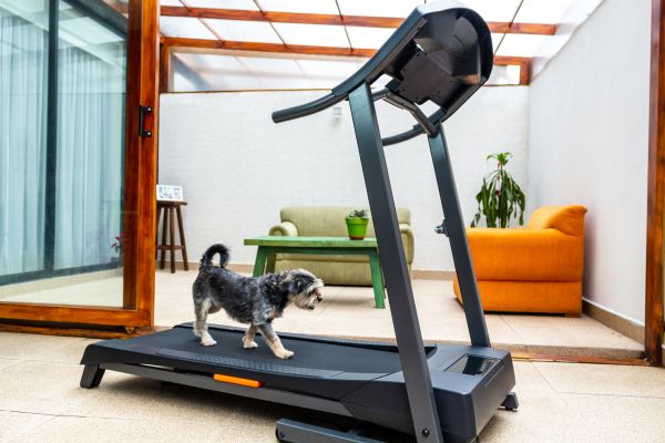 Cost of Treadmill Installation in Smyrna