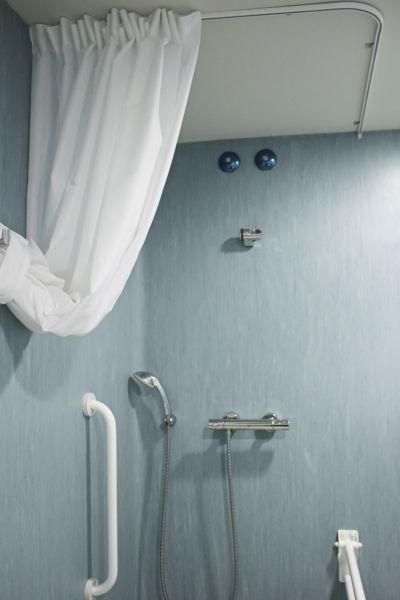 Cost of Shower Rail Installation in Smyrna