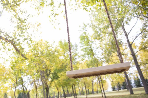 Cost of Swing Installation in Smyrna