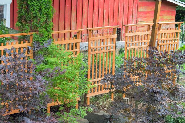 Wood Trellis Mounting in Smyrna