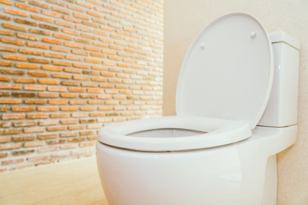 Cost of Toilet Seat Repair in Smyrna